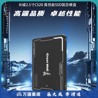 长城（Great Wall）SSD固态硬盘CS20 2.5英寸SATA3.0接口 高速读写sdd硬盘台式机笔记本电脑通用 【1TB】电脑提速 主流推荐