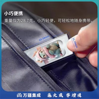 金士顿XS1000/2000移动固态硬盘十二生肖定制款1T/2T手机电脑通用500G盘 戌狗 XS1000-2TB