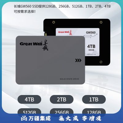 长城（Great Wall) 2TB SSD固态硬盘 SATA3.0接口 读速550MB/S台式机/笔记本通用 GW560系列