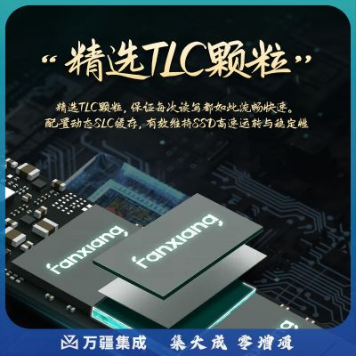 梵想（FANXIANG）2TB SSD固态硬盘 M.2接口NVMe协议 精选TLC颗粒 一体机台式机笔记本电脑AI PC存储配件 S500PRO