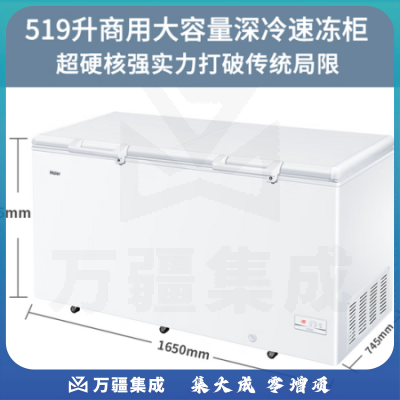 海尔（Haier）BC/BD-519GHEP 519升零下40度超低温冰柜