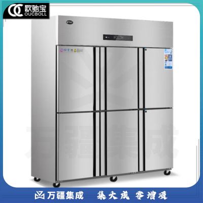 欧驰宝立式冷冻柜四门冰箱大容量饭店餐饮店后厨 不锈钢厨房冰箱六开门商用冰柜 六门A款/双温【1800*680*1930】