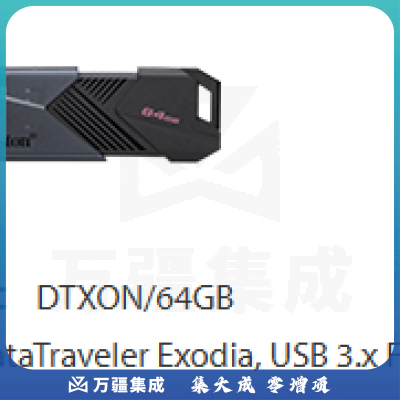 金士顿 DTXON 64GB 2个一组