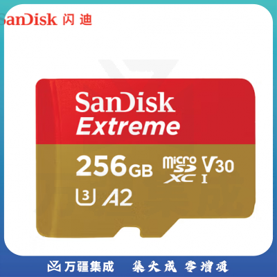闪迪(SanDisk)256GB TF(MicroSD)内存卡 4K极速金卡A2 V30 U3行车记录仪 运动相机无人机 监控存储卡 读190MB/s