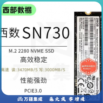 西部数据(WD)WD西数SN730 SN770 SN570SN7100 512G1TB2TBNVMEm.2拆机硬盘SN730 1TB