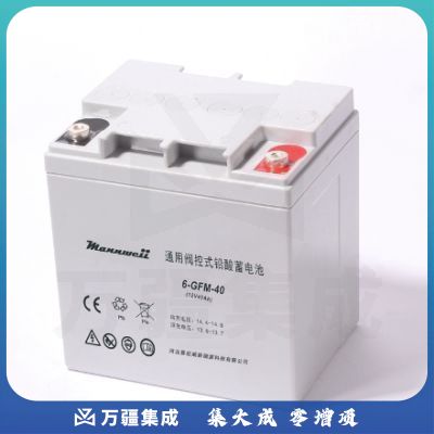 曼尼威(Mannweii) 6-GFM-40 不间断电源 铅酸蓄电池