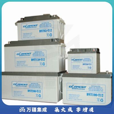 格莱美特12V-65AH 电池（国产）