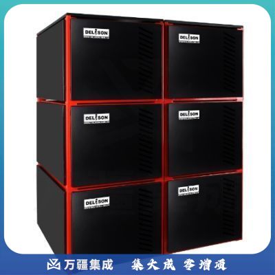 德利森(Delison）模块化长延时电池组DLRS49920-2-DX016/384