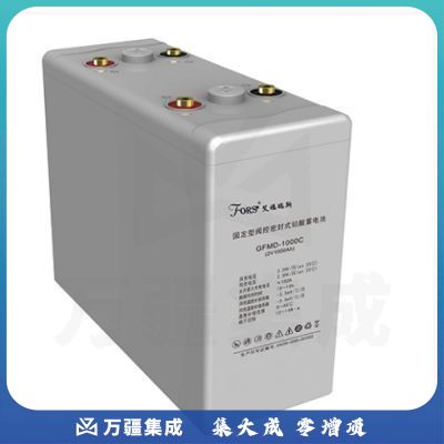 艾福瑞斯 2V1000AH 不间断电源 电池