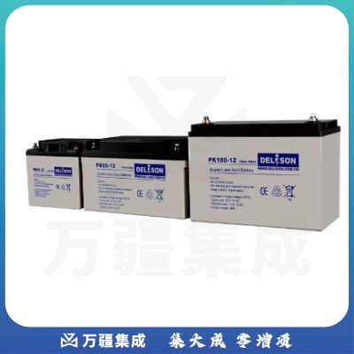 德利森(Delison）蓄电池PK100-12
