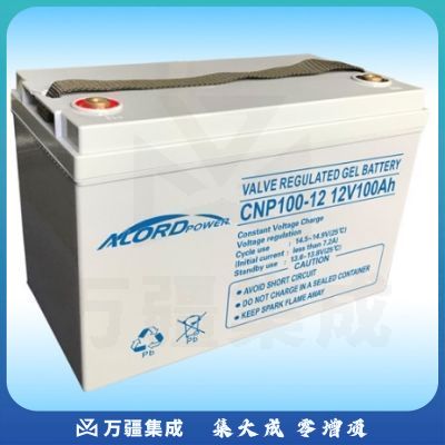 安洛达 CNP12V-100AH 不间断电源 电池