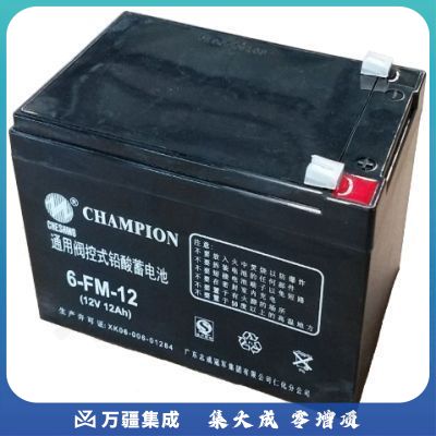 志成冠军单只电池安装费 (12V/2V单只电池)电池