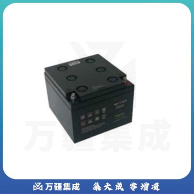 APC 12-100AH SFR 电池