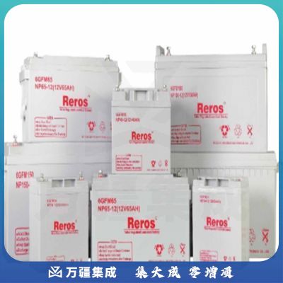 雷诺士(Reros) 24-12 电池 （12V24Ah电池）