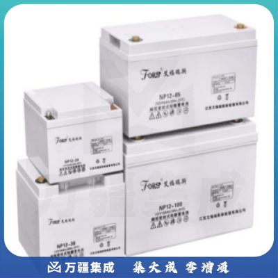 艾福瑞斯 12V215AH 不间断电源 电池