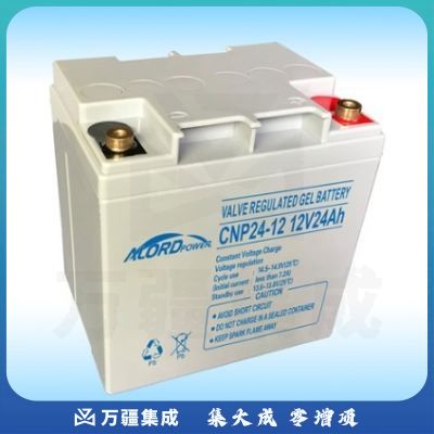 安洛达 CNP12V-24AH 不间断电源 电池