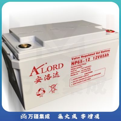 安洛达 NP12-65AH 不间断电源 电池
