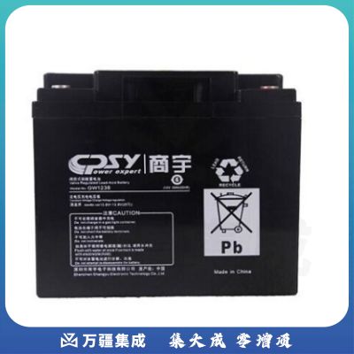 商宇 GW1238 阀控式铅酸蓄电池 12V38AH 198*166*172mm 黑色