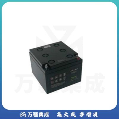 APC 12-38AH SFR 电池