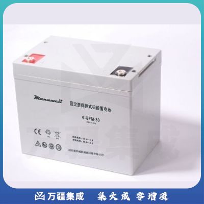 曼尼威(Mannweii) 6-GFM-80 不间断电源 铅酸蓄电池
