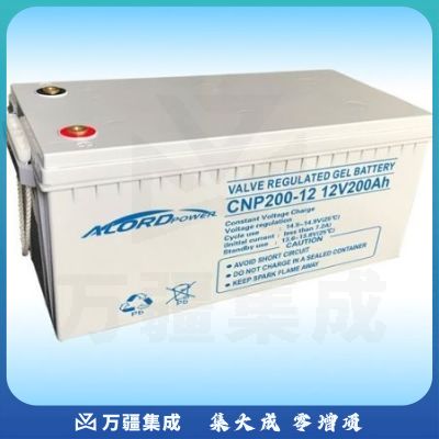 安洛达 CNP12V-200AH 不间断电源 电池