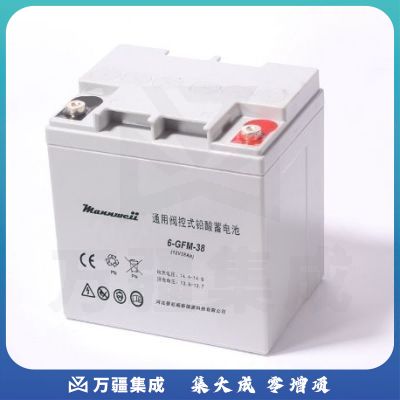 曼尼威(Mannweii) 12V38AH 不间断电源 铅酸蓄电池