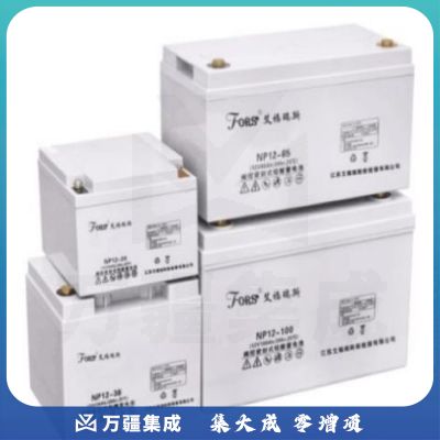 艾福瑞斯 12V50AH 不间断电源电池
