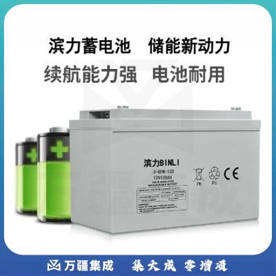 滨力 6-GFM-120 不间段电源 电池