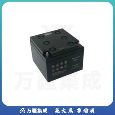 APC 12-100AH CFR 电池