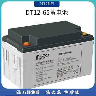 爱维达DT12-65 蓄电池