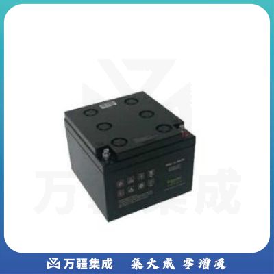 APC GN12V24AH 电池