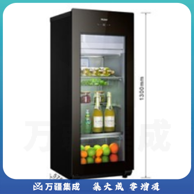 海尔（Haier） 157升家庭营养保鲜冰吧 离子杀菌茶叶饮料展示柜 小冰箱 DS0157DK
