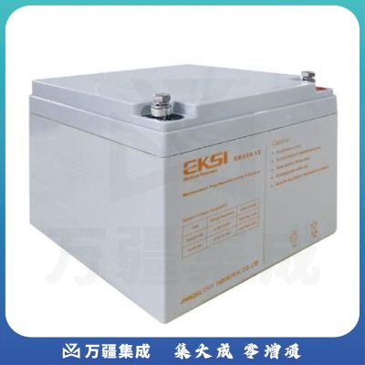 爱克赛12V24AH胶体免维护蓄电池（国产）