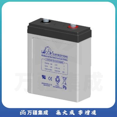 理士2V蓄电池DLW100/2V100AH