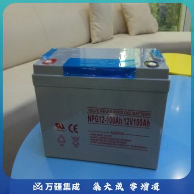 艾福瑞斯 12V100AH 不间断电源 胶体电池