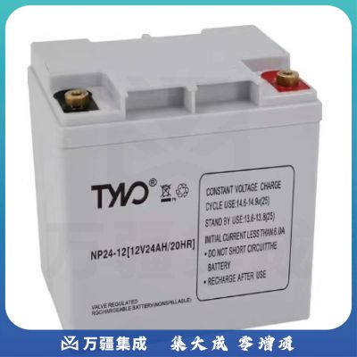台诺12V24AH不间断电源电池（国产）