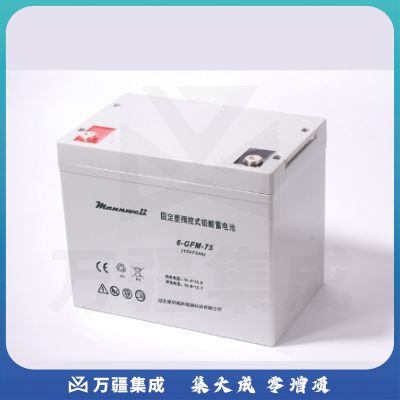曼尼威(Mannweii) 6-GFM-75 不间断电源 铅酸蓄电池
