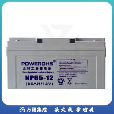 北科（POWEROHS) 12V65AH 工业蓄电池
