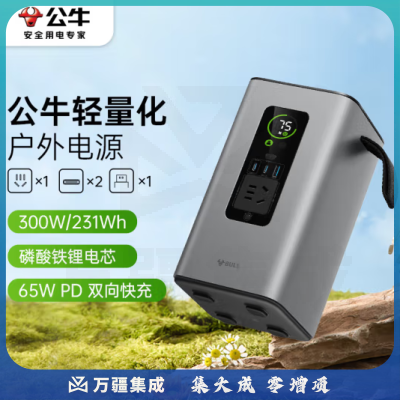 公牛300W快充移动户外电源220V PD65W双向快充 约7.2万mAh磷酸铁鲤电芯露营停电应急备用笔记本充电宝230Wh GNV-Y13