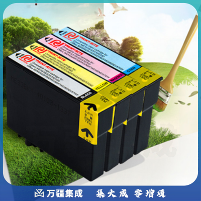 天威（PRINT-RITE）T1091黑色墨盒 （爱普生EPSON ME30 ME80W ME300 MEOFFICE80 360 600f 700fw 510 520）