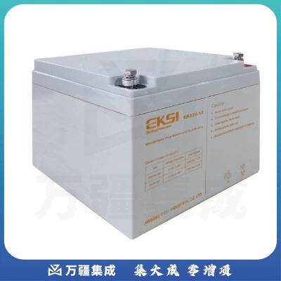 爱克赛12V24AH免维护蓄电池（国产）
