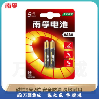 南孚 9号电池2粒