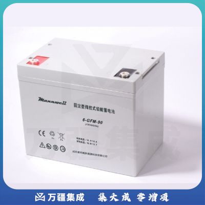 曼尼威(Mannweii) 6-GFM-90 不间断电源 铅酸蓄电池