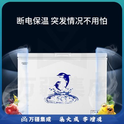 澳柯玛(AUCMA)323升卧式家用商用大容量冰柜 冷藏冷冻转换冷柜 单箱变温顶开冰箱 BC/BD-323NE
