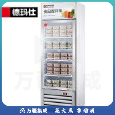 德玛仕（DEMASHI）食品留样柜 学校幼儿园公司食堂用 饮料水果蔬菜留样冰箱保鲜冷藏展示柜LG-260Z（带锁）