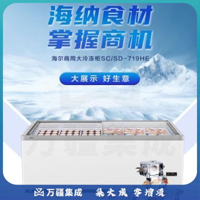 海尔(Haier)冰柜商用冷藏展示柜大容量玻璃门家用商超冰激凌雪糕饮料双门冷柜 冻藏转换丨平面玻璃门丨719L SC/SD-719HE