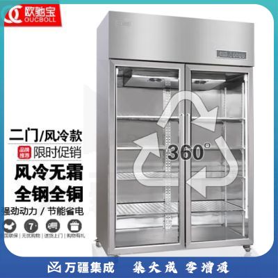 欧驰宝立式冷冻柜四门冰箱大容量饭店餐饮店后厨 不锈钢厨房冰箱六开门商用冰柜 两门A款/风冷