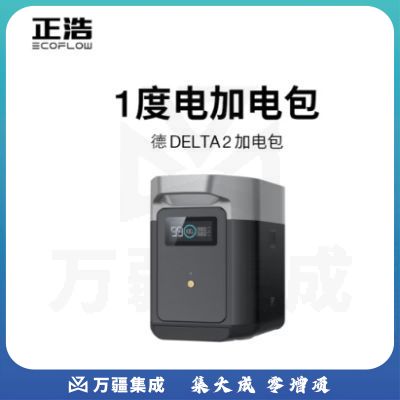 正浩EcoFlow 快充户外电源 德DELTA2加电包1024Wh 房车自驾露营储能备用移动电池
