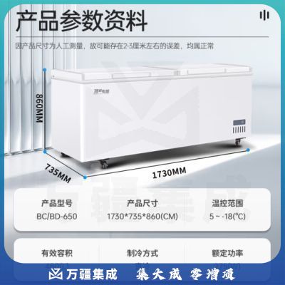顶邦（DINGBANG)商用冰柜大容量 速冻低温冷柜 卧式单温全冷冻冻肉海鲜家用急冻冷柜BD/BC-650