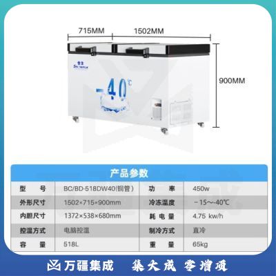 雪花（SNOWFLK）四门冰箱商用冰柜立式不锈钢厨房冰箱冷柜双温冷藏冷冻大容量 工程款-930/四门全冷冻